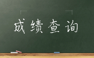 2025年廣東3+證書考試成績怎么查？