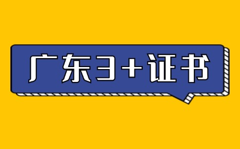 廣東3+證書作文寫作技巧