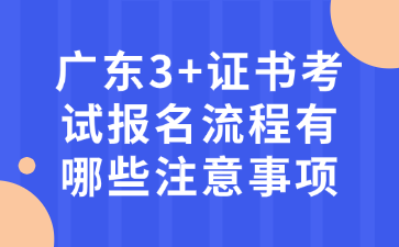 廣東3+證書考試報名流程有哪些注意事項