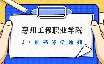 3+證書體檢