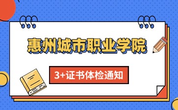 3+證書體檢