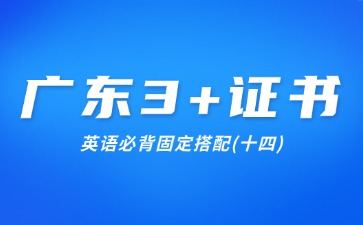 廣東3+證書英語必背固定搭配(十四)