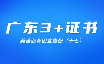 廣東3+證書英語必背固定搭配(十七)
