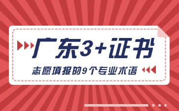 廣東3+證書志愿填報的9個“專業(yè)術(shù)語”