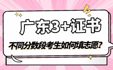 廣東3+證書