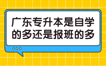 廣東專升本是自學的多還是報班的多