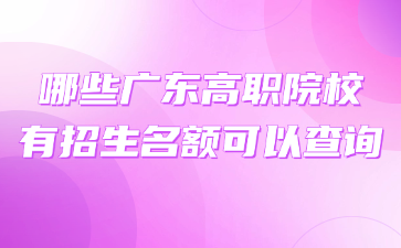 哪些廣東高職院校有招生名額可以查詢